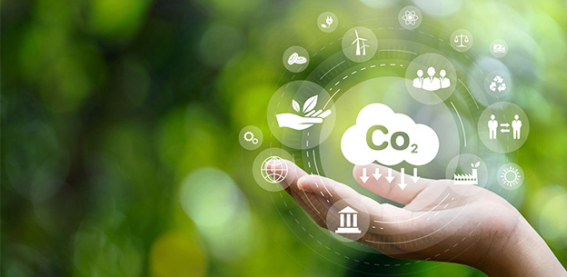 領先計算投資組合碳排數據