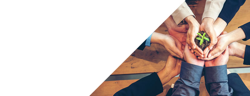 議合與重大議題