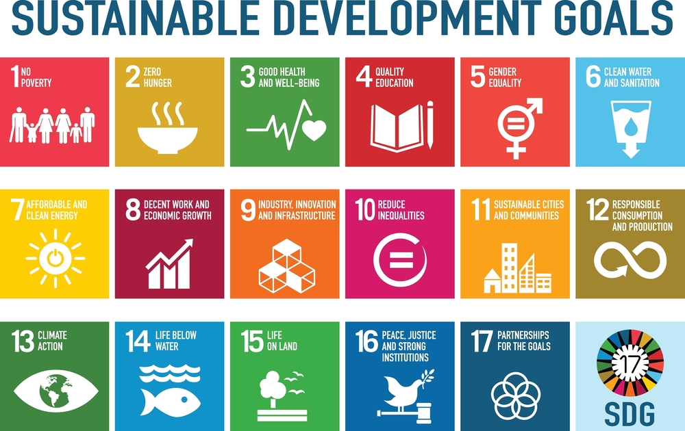 17 項永續發展目標