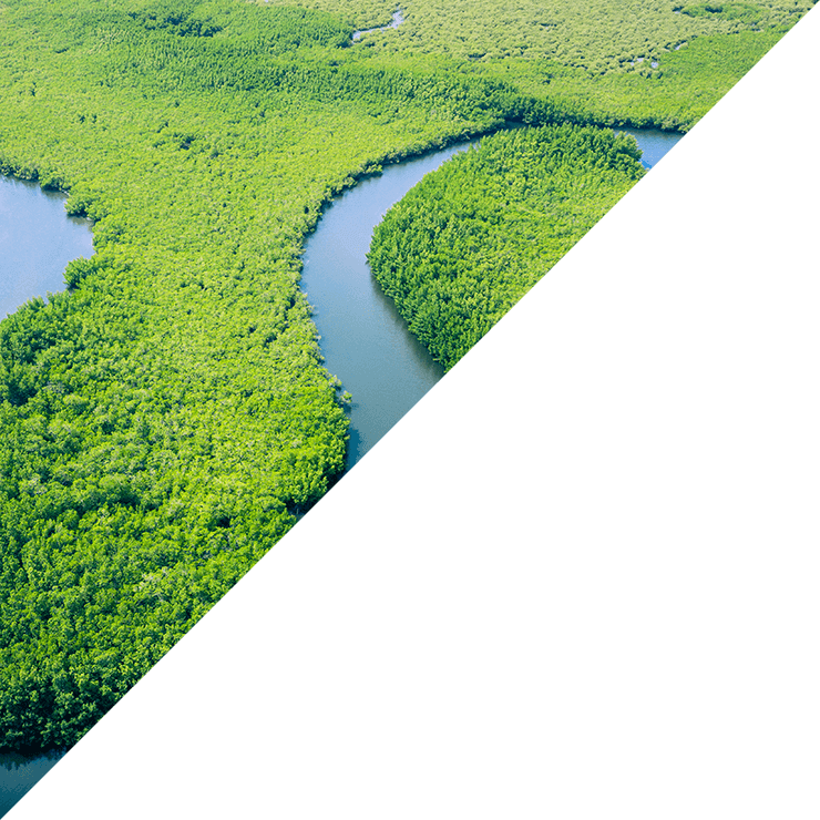 持續實踐永續金融