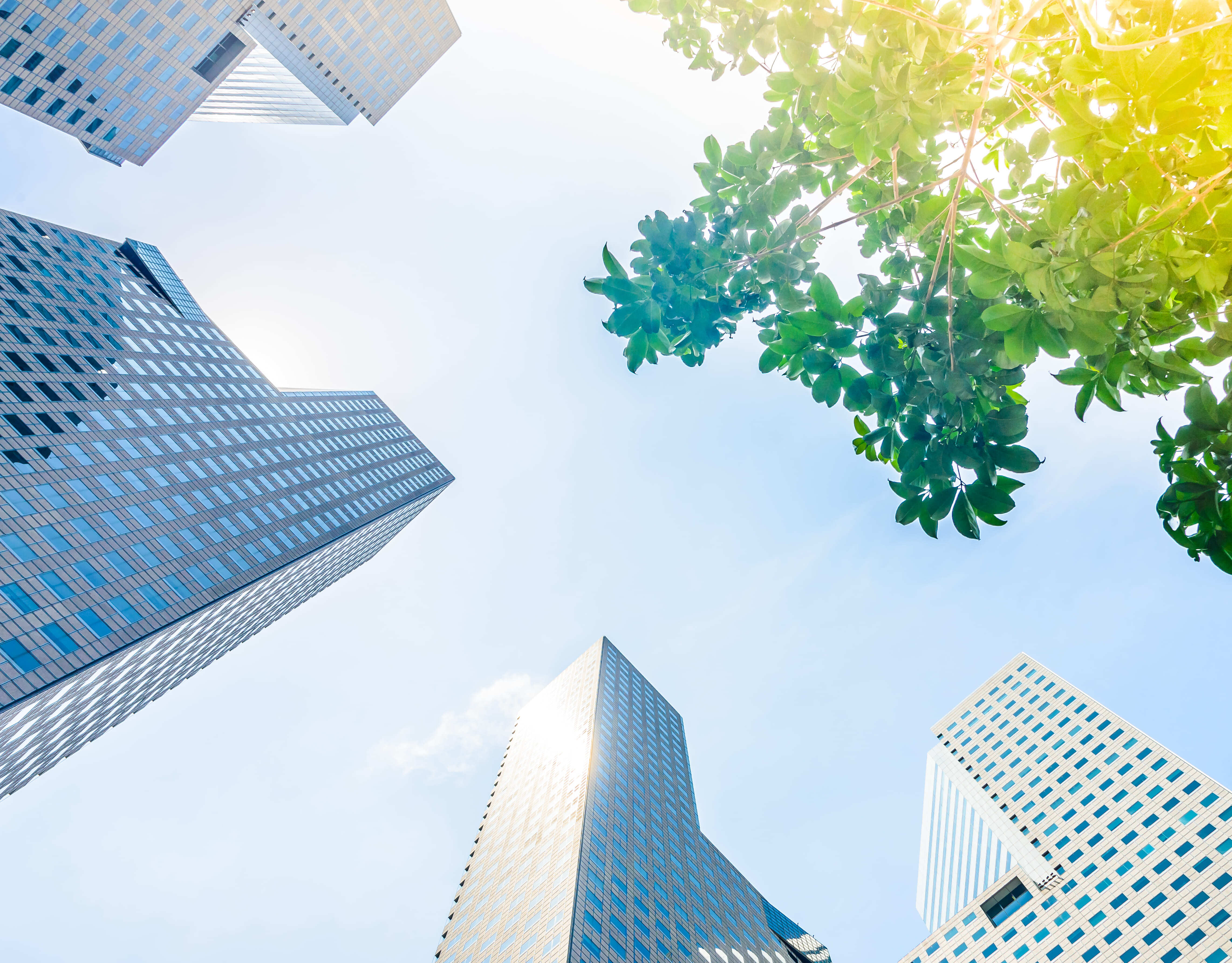 太陽能分行示意圖