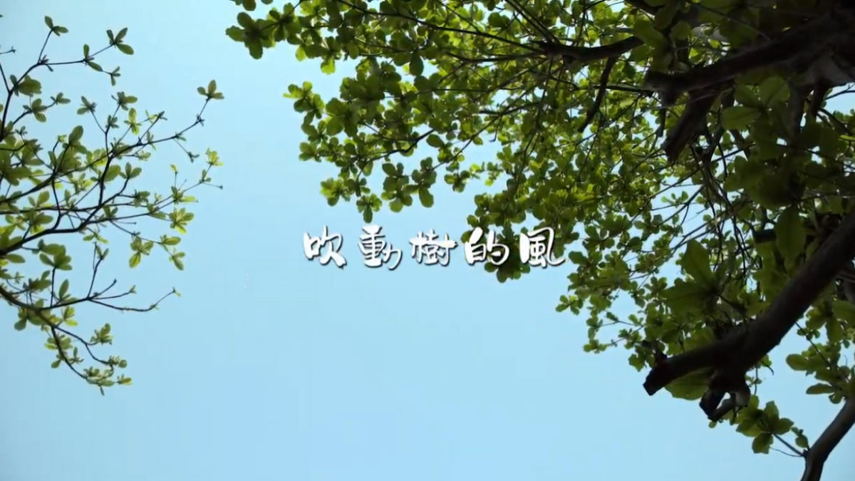 吹動樹的風