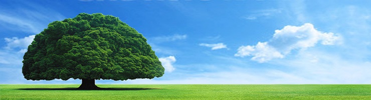 聯絡我們 利害關係人專區 國泰金控