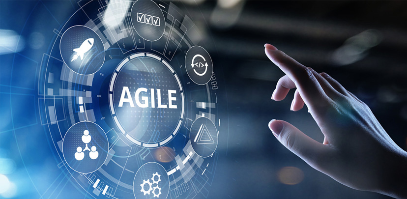 培育敏捷種子 推動集團數位轉型