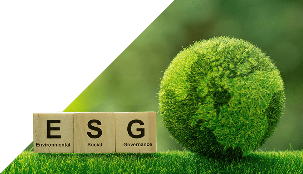 國泰相信深耕永續,將成為引領台灣產業共好的影響力